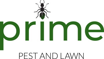 Prime Pest & Lawn